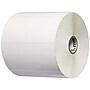 Zebra Z-Select 4000T Thermal Multipurpose Labels, 2" x 4", Bright White, 1,370 Labels/Roll, 6 Rolls (10009530)~#|#~sp66368528_sc7