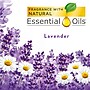 Air Wick Freshmatic Air Freshener Refill, Lavender Scent, 5.89 Oz., 6/Carton (6233877961CT)~#|#~sp68620031_sc7