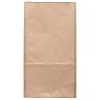 JAM Paper Kraft Lunch Bags, 11" x 6" x 3.5", Brown, 25/Pack (692KRBR)~#|#~sp71001599_sc7