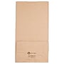 JAM Paper Kraft Lunch Bags, 11" x 6" x 3.5", Brown, 25/Pack (692KRBR)~#|#~sp71001600_sc7