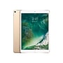 Apple iPad Pro 10.5" Tablet, 256GB, WiFi, Gold (MPHJ2LL/A)~#|#~sp71589467_sc7