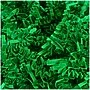 JAM Paper Colored Crinkle Paper, Green (1196519)~#|#~sp79659514_sc7