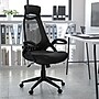Flash Furniture Ivan Ergonomic Mesh Swivel High Back Executive Office Chair, Black (HL0018)~#|#~sp82712597_sc7