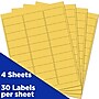JAM Paper Laser/Inkjet Mailing Address Label, 1" x 2 5/8", Yellow, 30 Labels/Sheet, 4 Sheets/Pack (302725801)~#|#~sp87119618_sc7