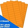 JAM Paper Laser/Inkjet Address Labels, 1" x 2 5/8", Neon Orange, 30 Labels/Sheet, 4 Sheets/Pack (35432814)~#|#~sp87119792_sc7