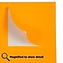 JAM Paper Shipping Labels, Large, 3 1/3 x 4, Neon Orange, 6 Labels/Sheet, 20 Sheets/Pack (354328043)~#|#~sp89166592_sc7