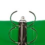 JAM Paper Heavy Duty 3" 3-Ring Flexible Poly Binders, Green (821T3GR)~#|#~sp89840053_sc7