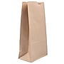 JAM Paper Lunch Bags, Brown Kraft, 25/Pack (691KRBR)~#|#~sp89840989_sc7