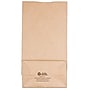 JAM Paper Lunch Bags, Brown Kraft, 25/Pack (691KRBR)~#|#~sp89840991_sc7