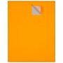 JAM Paper Laser/Inkjet Shipping Labels, 2" x 4", Neon Orange, 10 Labels/Sheet, 12 Sheets/Pack (35432826)~#|#~sp90422419_sc7