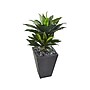 Nearly Natural Double Agave Succulent Plant in Pot (9517)~#|#~sp92290964_sc7