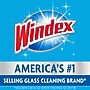 Windex Glass & More Cleaner with Ammonia-D, Unscented, 5 gal. Bag-in-Box Dispenser (696502)~#|#~sp95372731_sc7