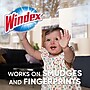 Windex Glass & More Cleaner with Ammonia-D, Unscented, 5 gal. Bag-in-Box Dispenser (696502)~#|#~sp95373061_sc7