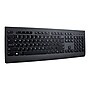 Lenovo Professional Combo Ergonomic Keyboard and Mouse, Black (4X30H56796)~#|#~sp95377643_sc7