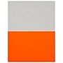 JAM Paper Shipping Labels, Half Page, 5 1/2" x 8 1/2", Neon Red,  2 Labels/Sheet, 25 Sheets/Pack (359429625)~#|#~sp96370481_sc7