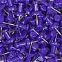 JAM Paper Push Pins, Purple, 100/Pack (222419053)~#|#~sp97365217_sc7