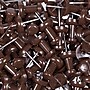 JAM Paper Push Pins, Chocolate Brown, 100/Pack (222419049)~#|#~sp97365360_sc7