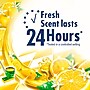 Fabuloso Multi-Purpose Cleaner, Refreshing Lemon Scent, 169 Fl. Oz., 3/Carton (61037885CT)~#|#~sp97651377_sc7